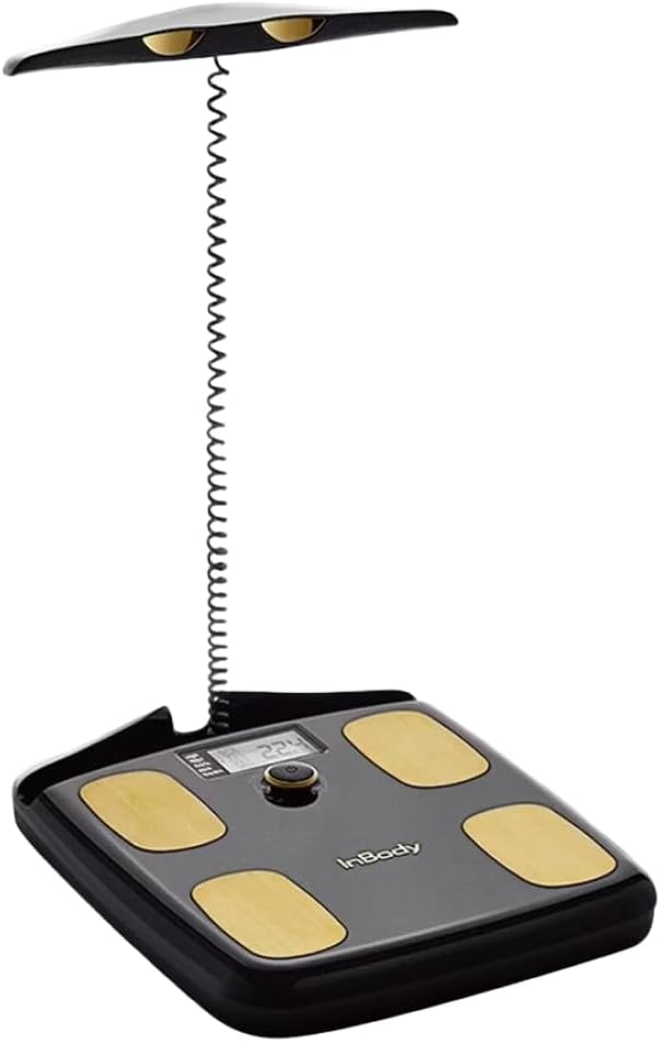 InBody Dial H20 Smart Scale with BMI, Body Fat, and Muscle Mass Analysis