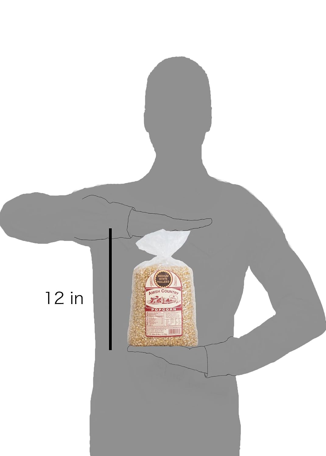 Medium White Popcorn Kernels from Amish Country in 6 lb Bag