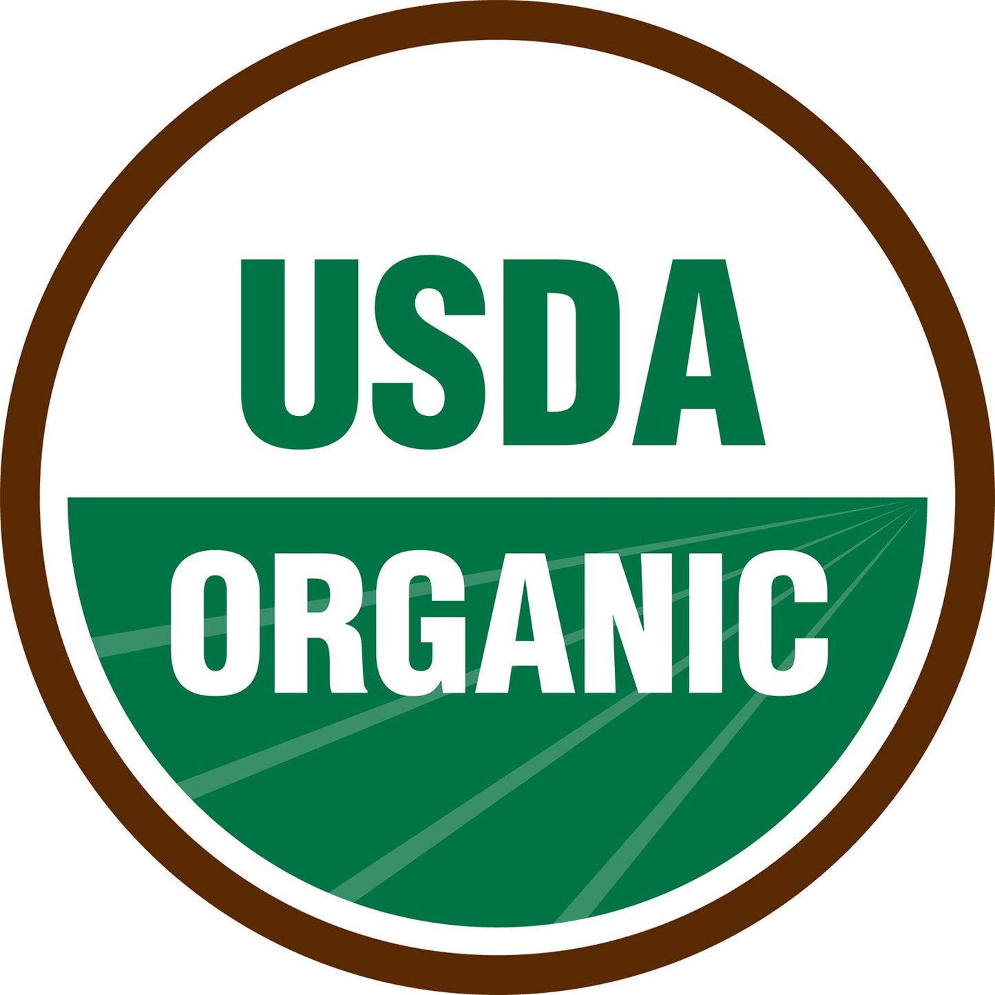 Terrasoul Superfoods Organic Dried Mango Slices, 16 Oz, No-Added Sugar, Gluten-Free, Vegan