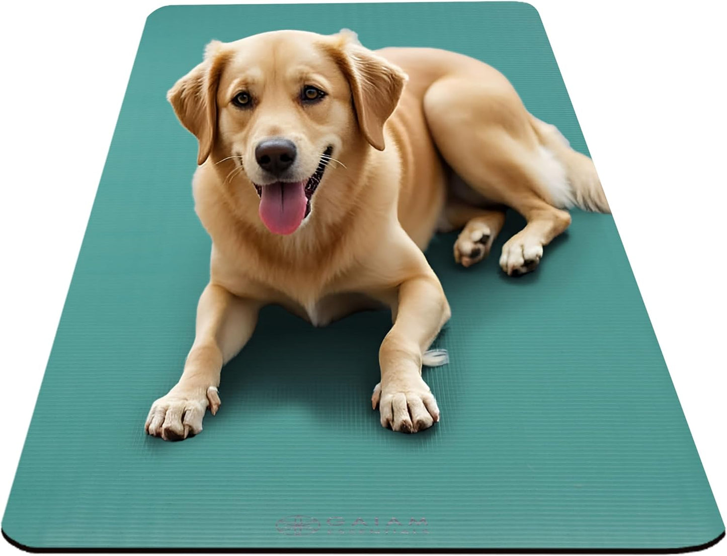 Gaiam 10mm Yoga Mat with Carrying Strap for Home Workouts