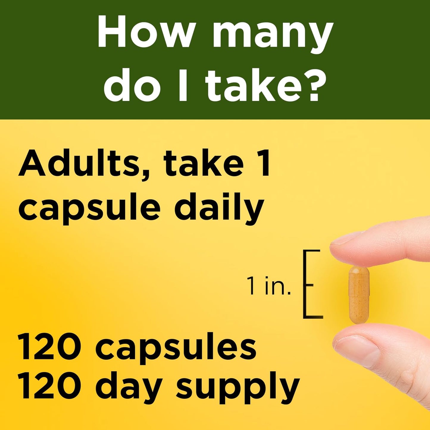 Nature Made Turmeric Curcumin 500 mg, Turmeric Curcumin Supplement for Antioxidant Support, Herbal Supplements, 120 Capsules, 120 Day Supply