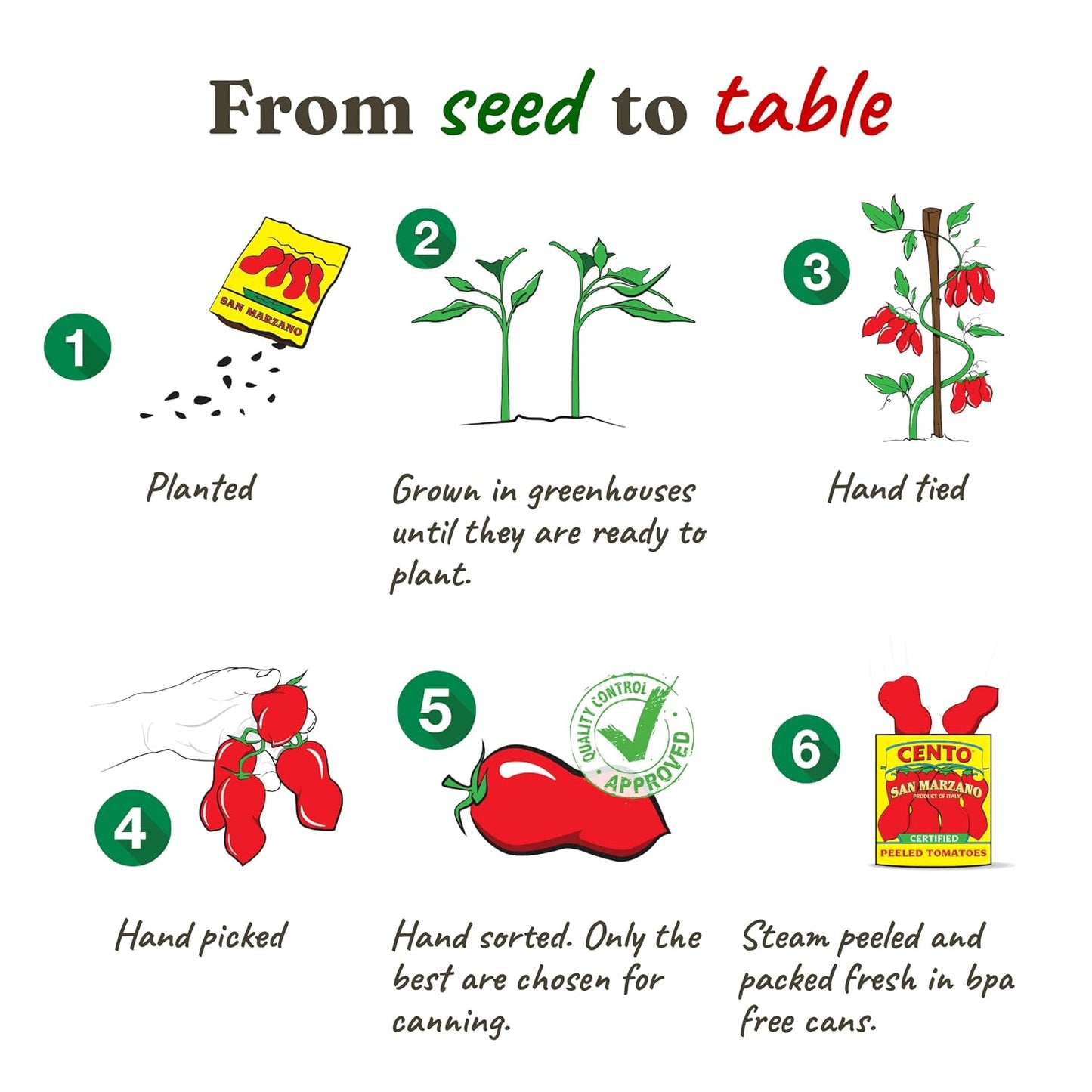 Cento Certified San Marzano Whole Peeled Tomatoes, 28 Oz Pack, Canned Plum Tomatoes in Thick Puree