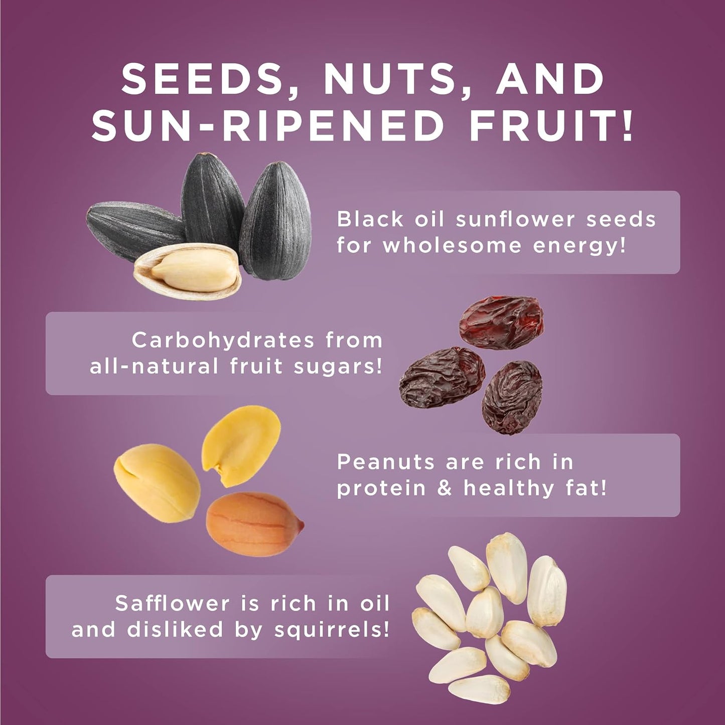 Audubon Park Nut & Fruit Snack Stack Bird Food 6-Pack