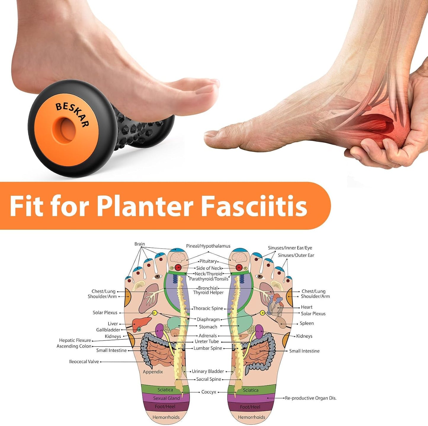 BESKAR Foot Massager Roller for Plantar Fasciitis Relief, Deep Tissue Massage