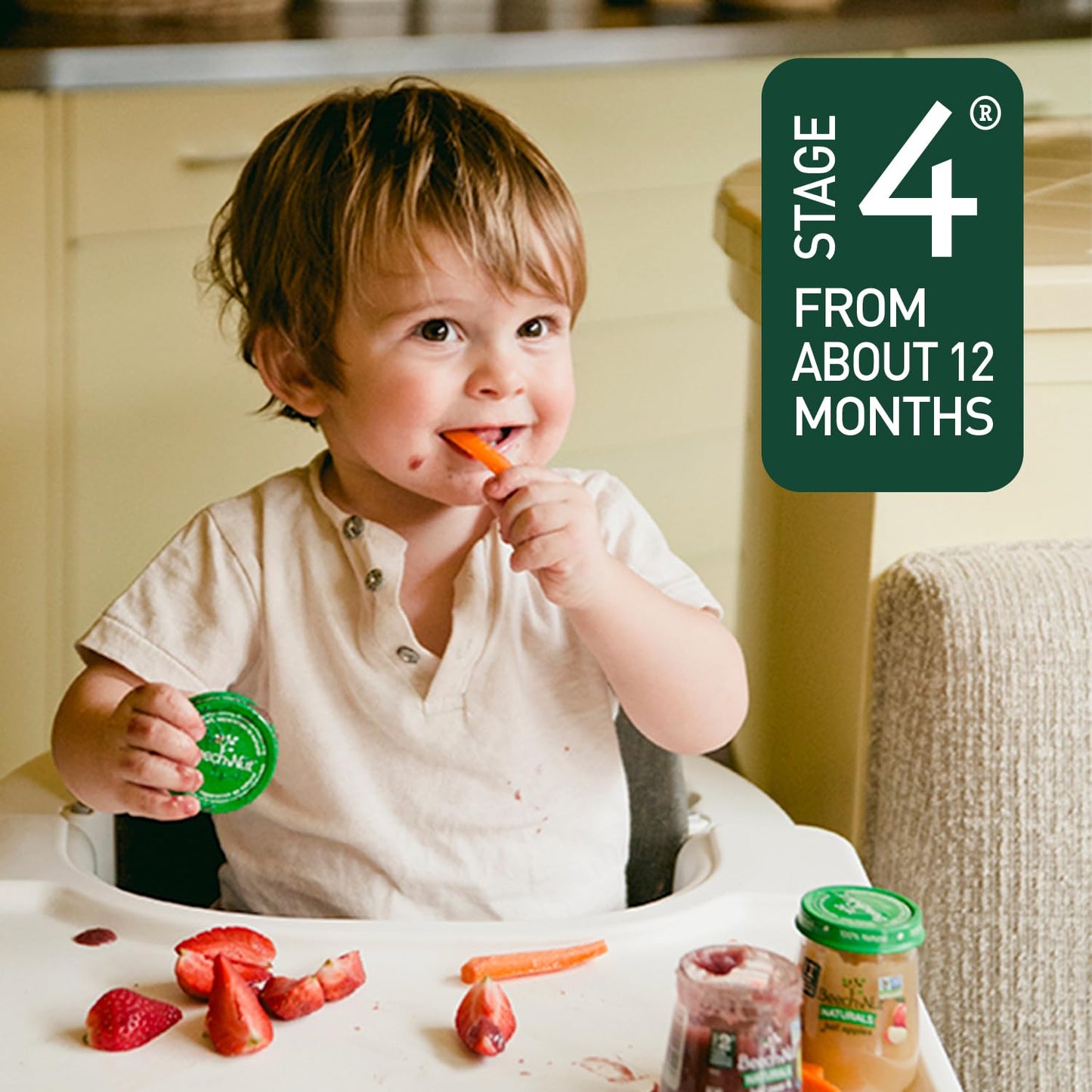 Beech-Nut Toddler Snacks Oaty Bars Granola Bars for Babies Toddlers