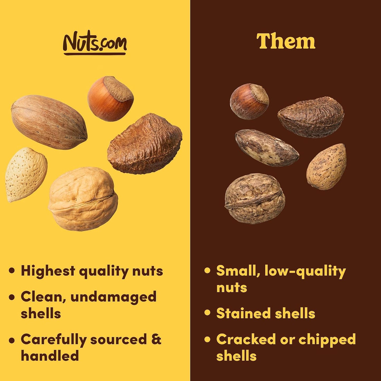 Mixed nuts in shell assortment, 2 pounds, premium walnuts, almonds, hazelnuts, pecans, and Brazil nuts