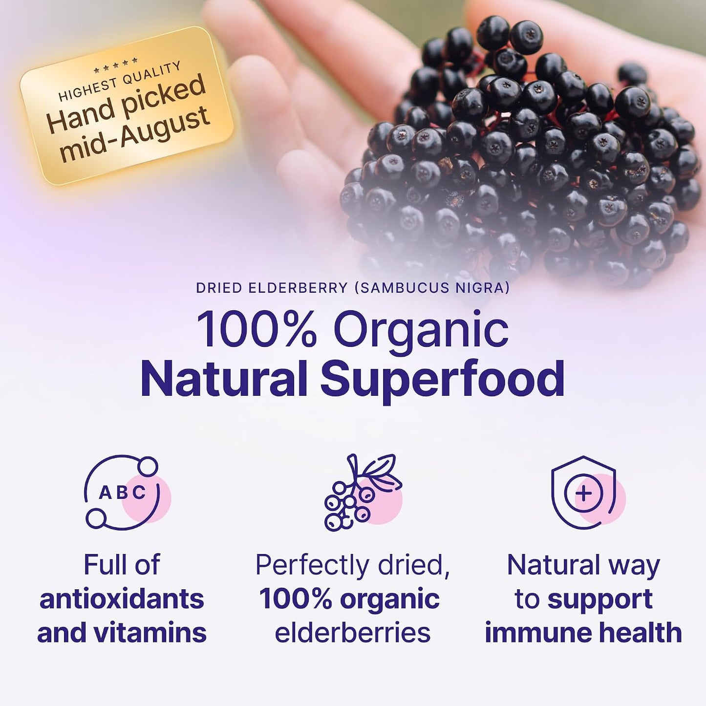 USDA Certified Organic Dried Elderberries 1lb Bulk Non Irradiated Non GMO Whole Black Elderberry