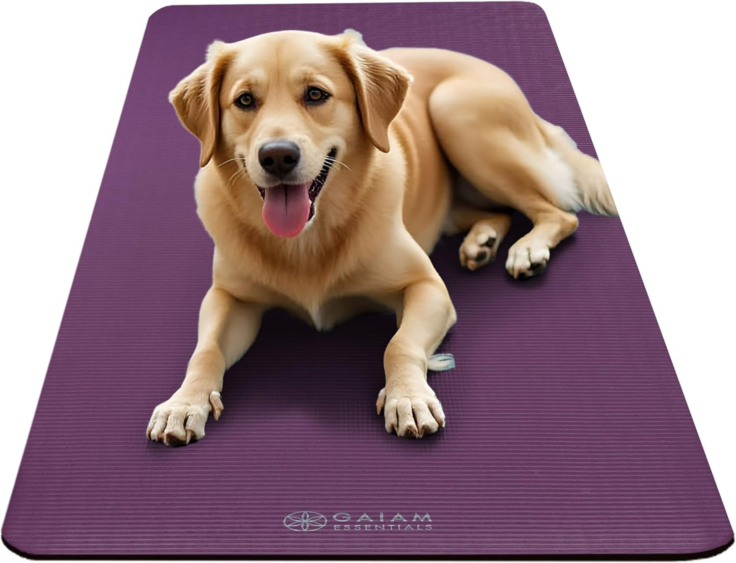 Gaiam 10mm Yoga Mat with Carrying Strap for Home & Gym Workouts