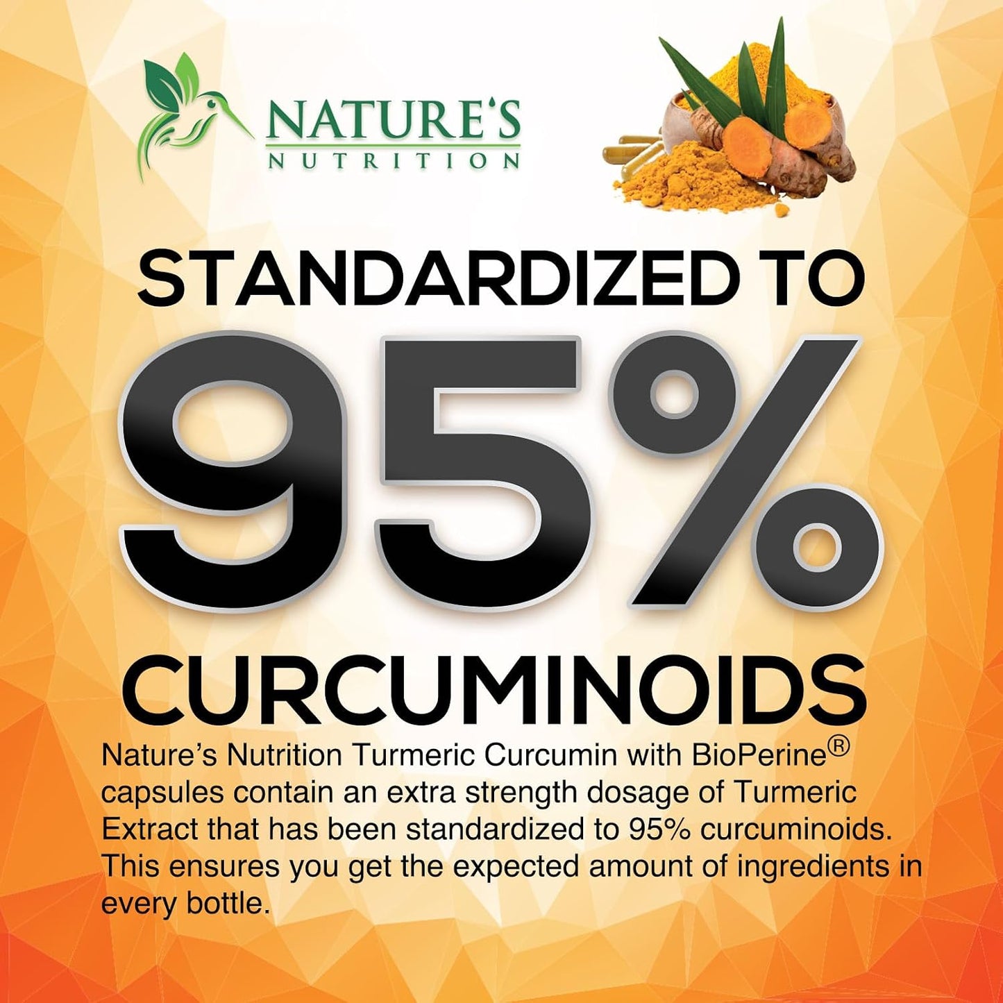 Turmeric Curcumin Supplement - 2400mg Organic Turmeric Per Serving