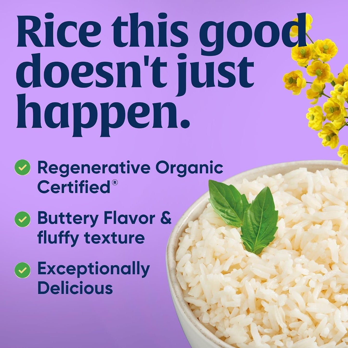 Lundberg Family Farms Organic Jasmine Rice, California White, 32 Oz