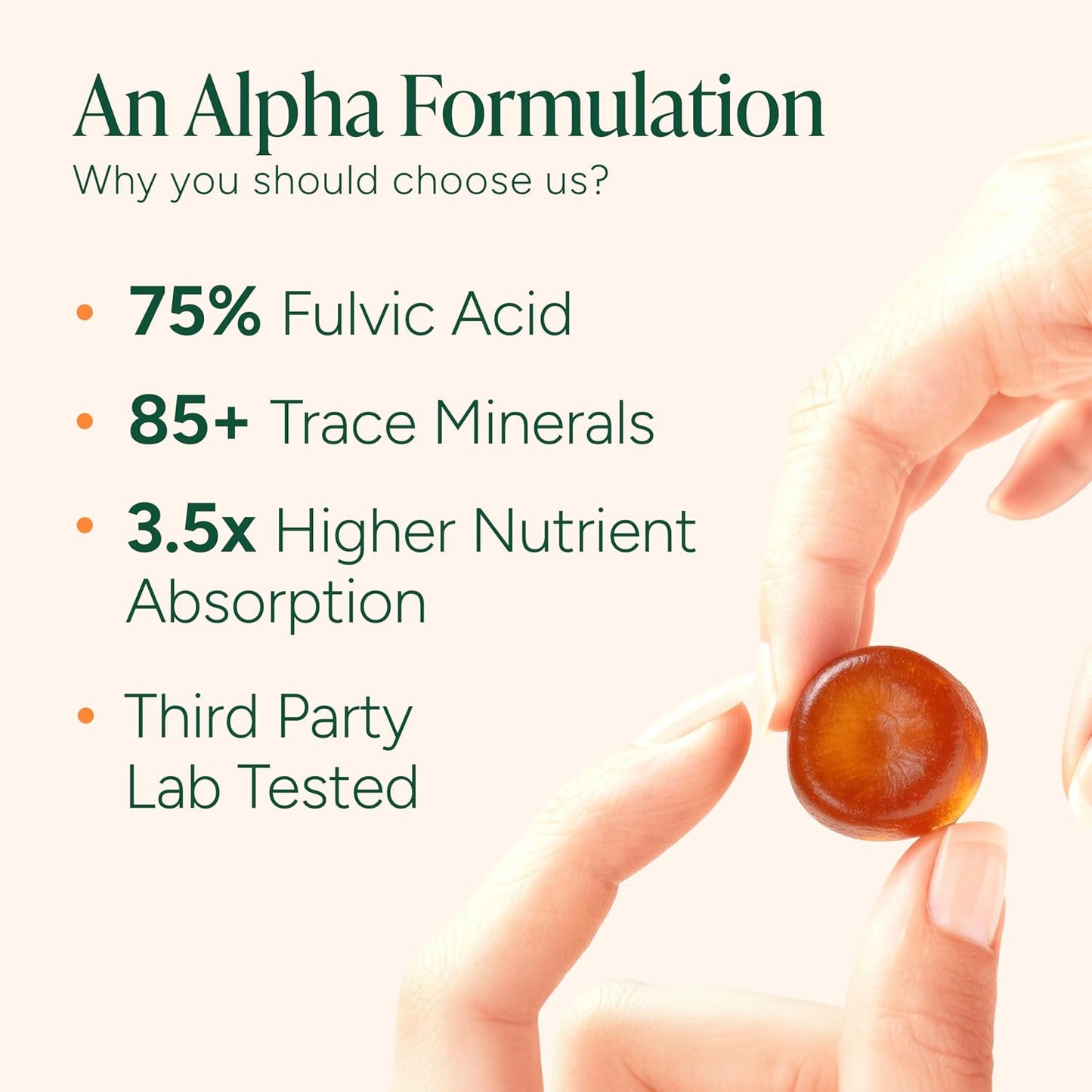 ROOT LABS 10-in-1 Alpha Shilajit Gummies | 4000 mg Pure Himalayan Shilajit with Tongkat Ali & Maca Root | Shilajit for Men & Women | ShilAbsorb Bioavailability Tech | Sugar-Free, Vegan | 60 Gummies