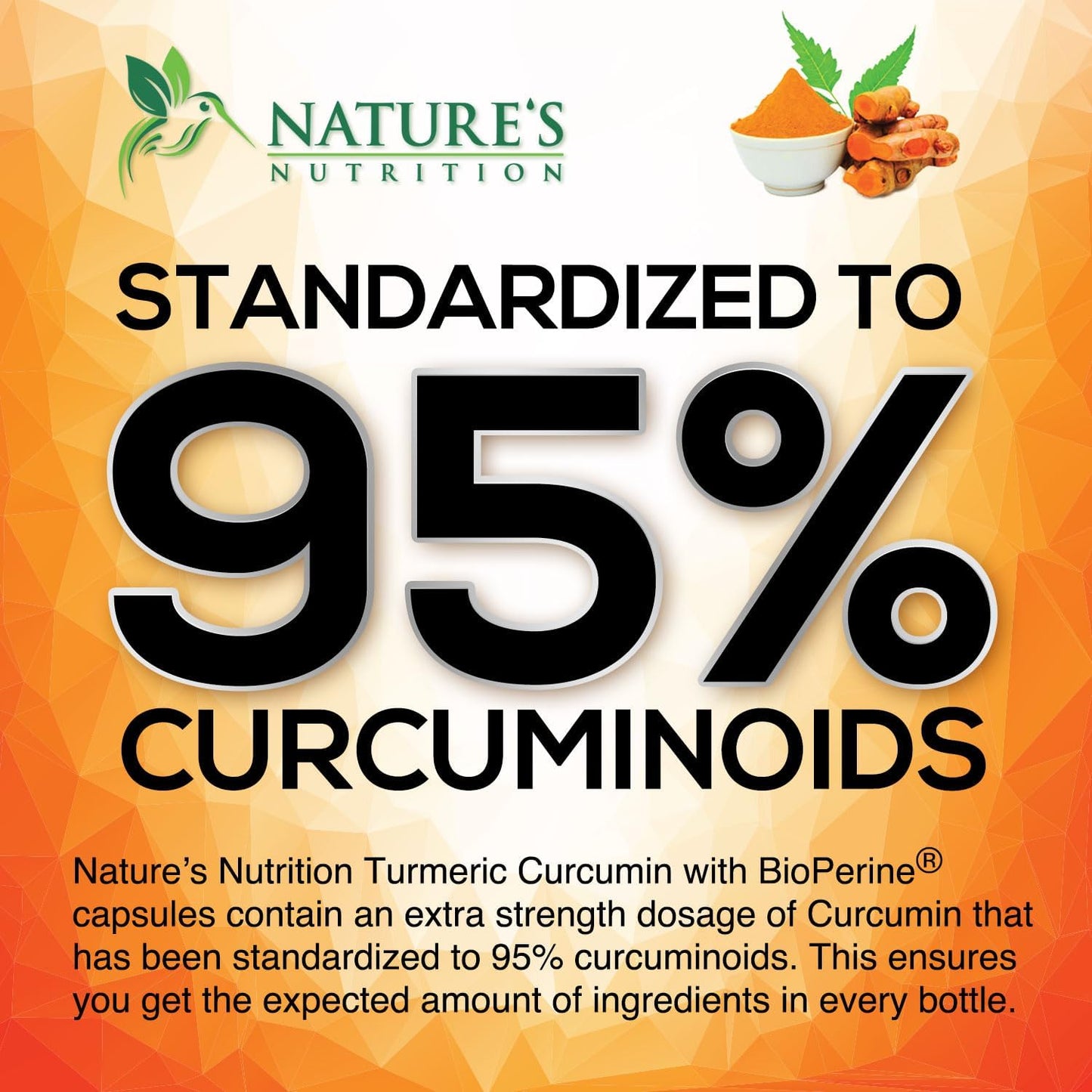 Turmeric Curcumin Supplement - 95% Curcuminoids with Organic Turmeric & Ginger, BioPerine Black Pepper Extract for Best Absorption, Natural Vegan Joint Support, Non-GMO, Bottled in USA - 240 Capsules