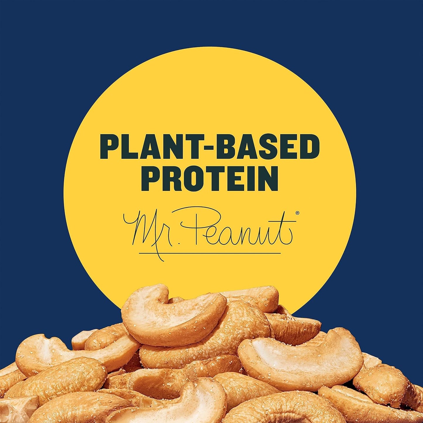 PLANTERS Lightly Salted Cashews - Cashew Halves & Pieces, Plant-Based Protein, 8 Oz Canister