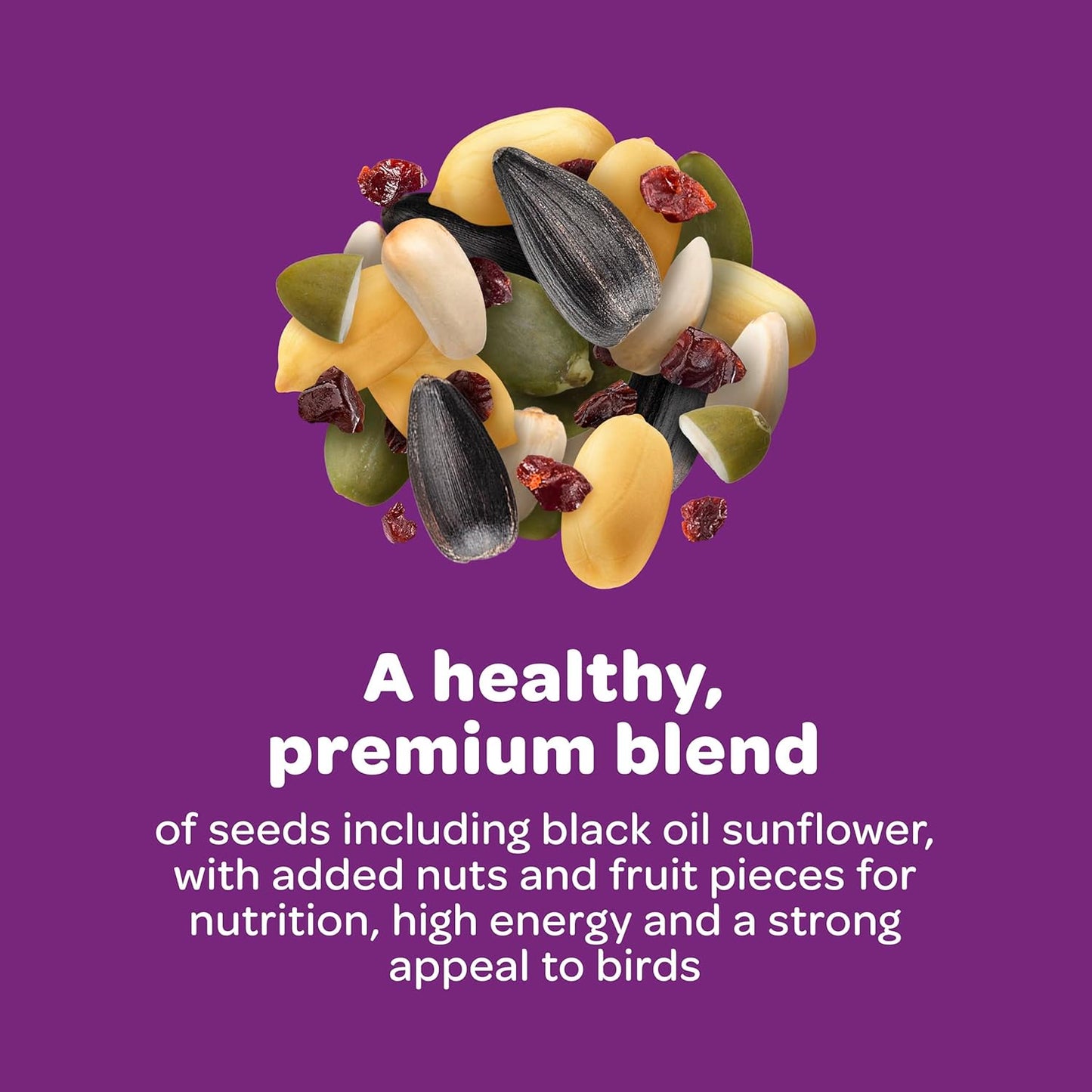 Kaytee Wild Bird Seed 5 lb Attracts Colorful Songbirds