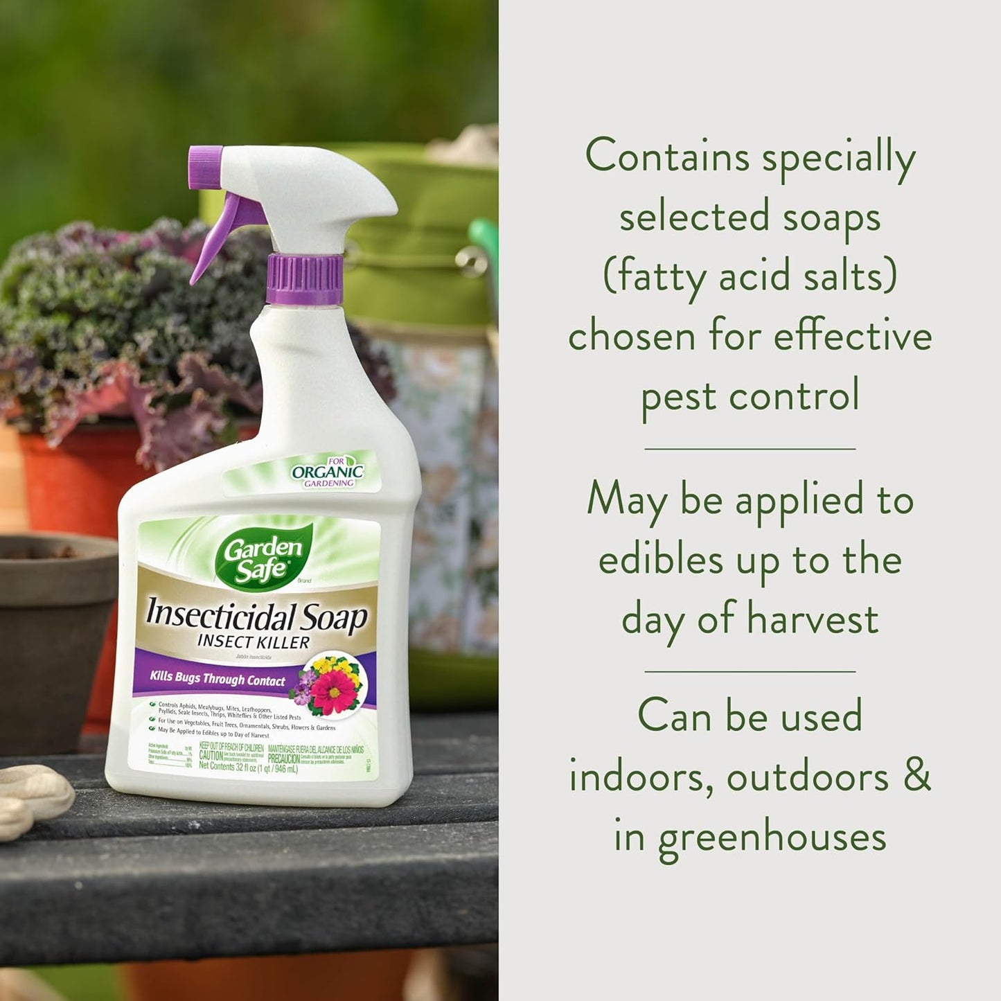 Garden Safe 32 oz. Insecticidal Soap Ready-to-Use, 1 Count (Pack of 1)