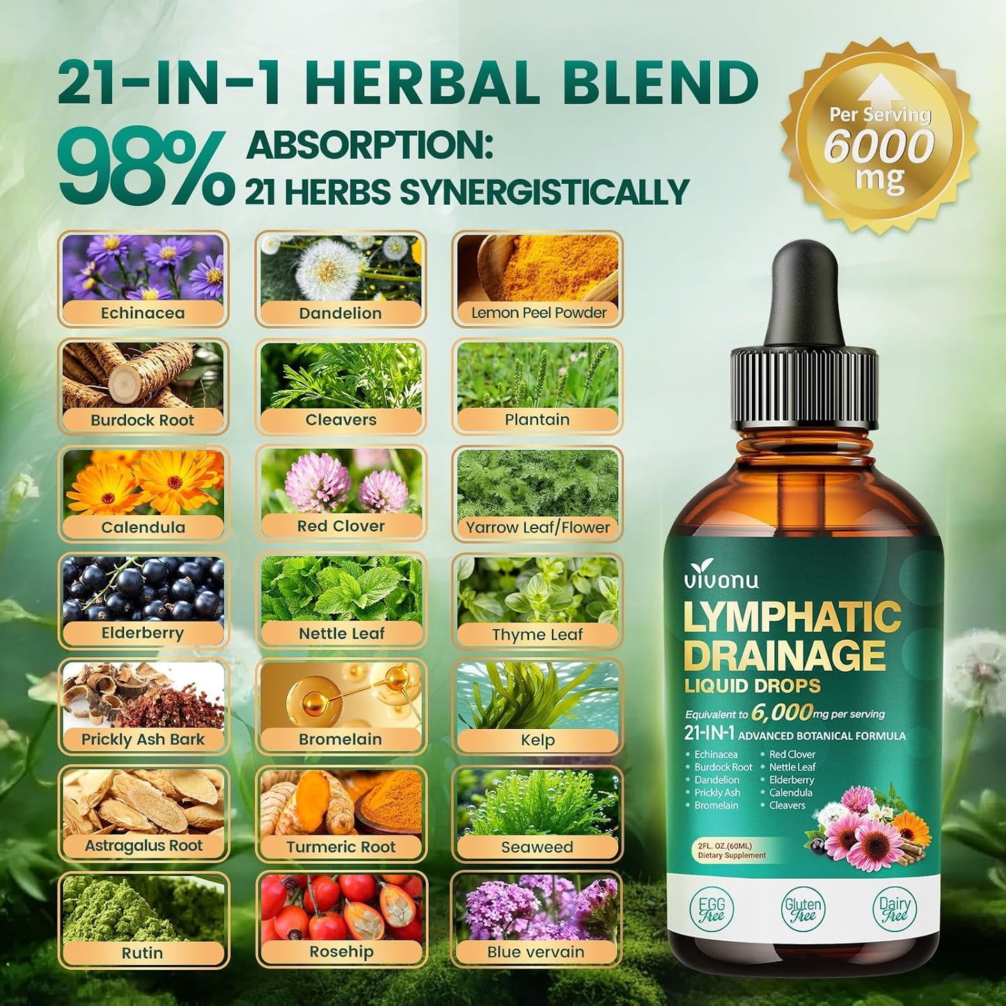 21-in-1 Lymphatic Drainage Drops for Immune System Support with Echinacea and Turmeric 2 FL OZ