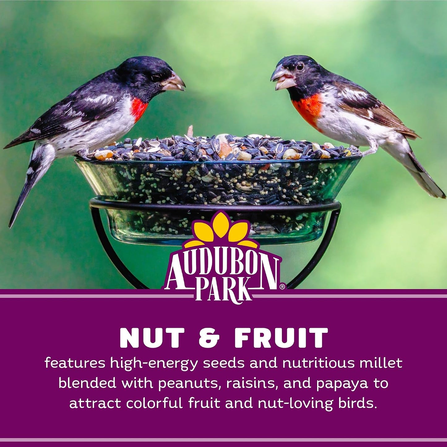 Audubon Park 8 lb. Wild Bird Seed Blend with Sunflower Seeds and Dried Fruit