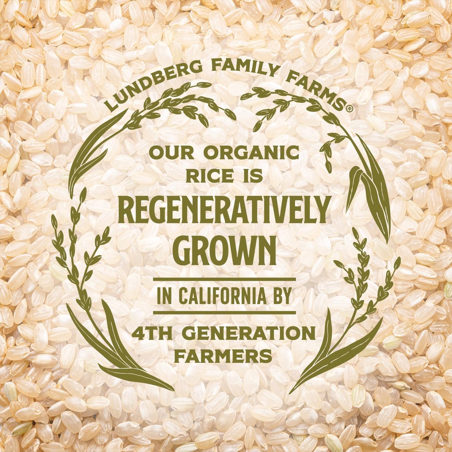 Lundberg Thin Brown Rice Cakes Variety 3-Pack, Regenerative Organic Certified, 6 Oz Ea