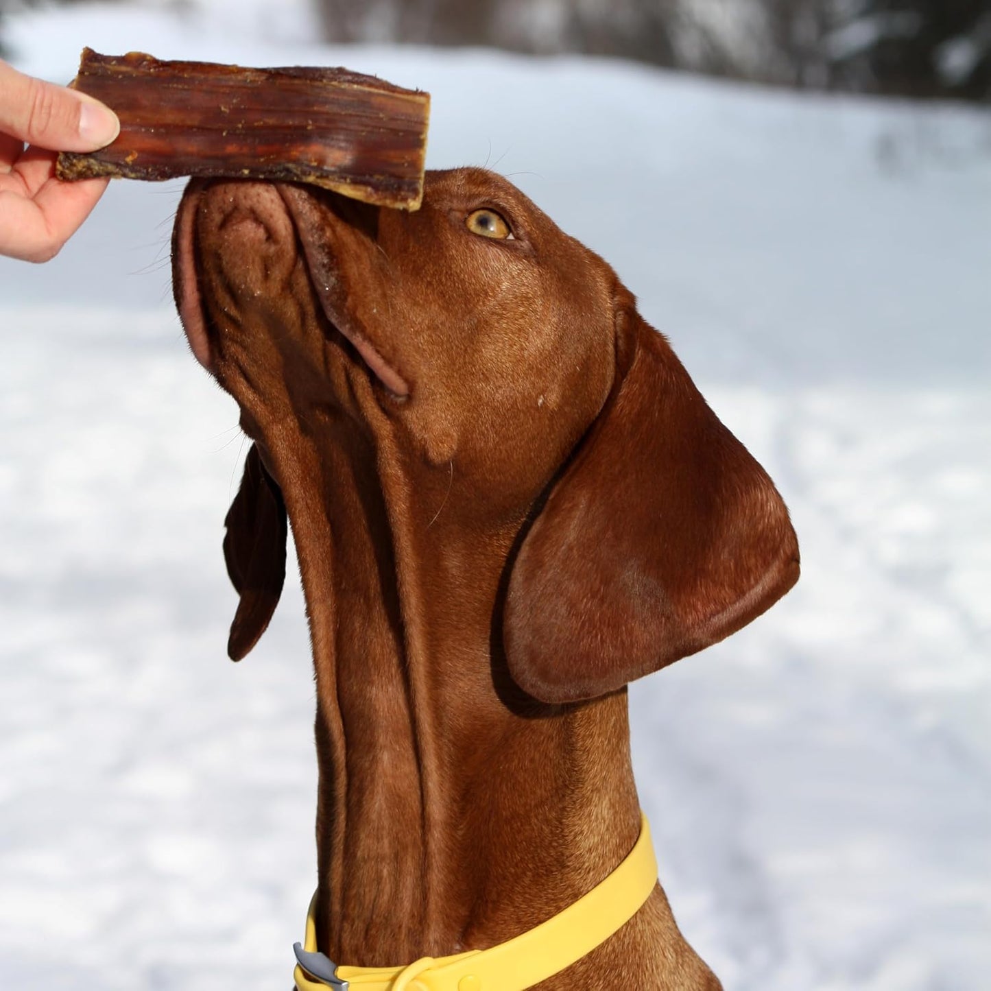 Cadet 100% Beef Strips Dog, Single Ingredient Beef Esophagus, 8 Ounce