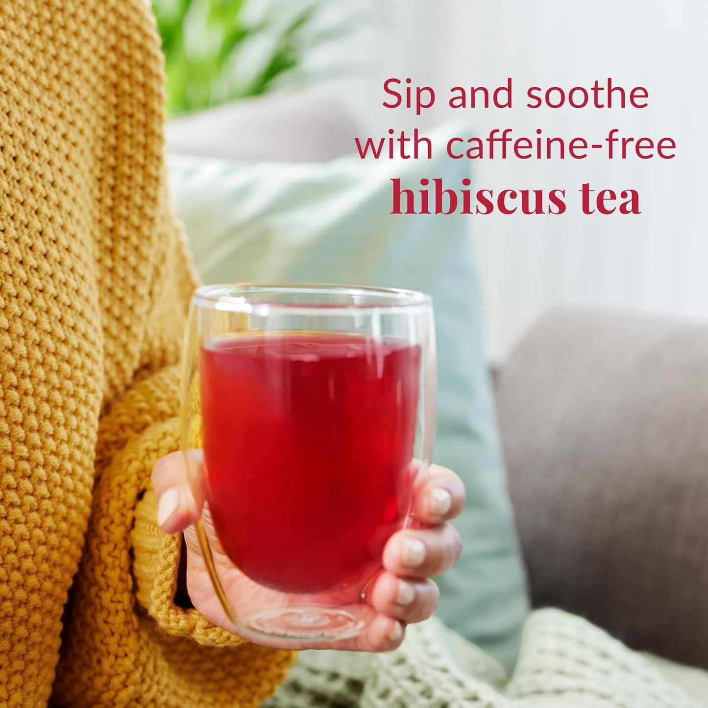 Hibiscus Blueberry Superflower Herbal Tea 36 Tea Bag Tin