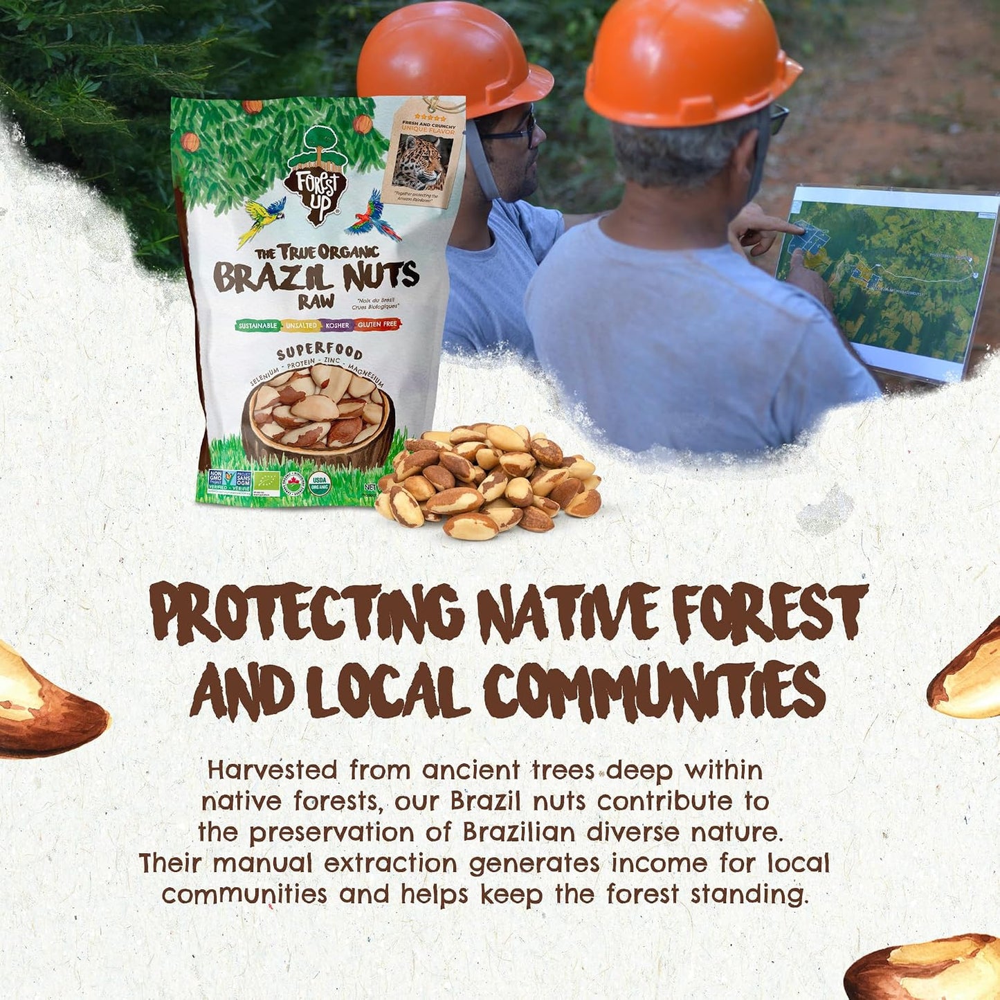 Brazil Nuts, 15 oz, Raw, Unsalted, Kosher, Organic, Vegan, Gluten Free, Harvested in Amazon Rainforest