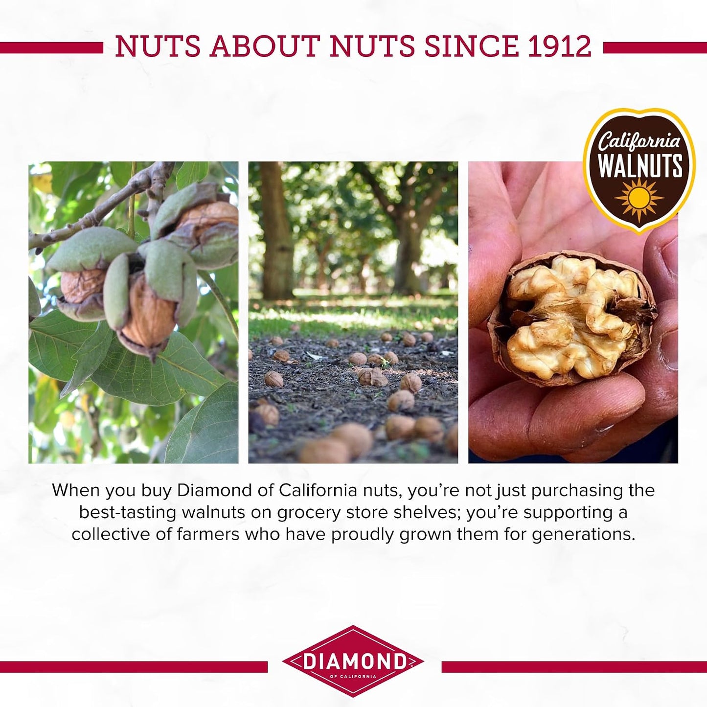 Diamond of California Shelled Walnut Halves and Pieces, 32 oz Raw Walnuts for Baking and Snacking