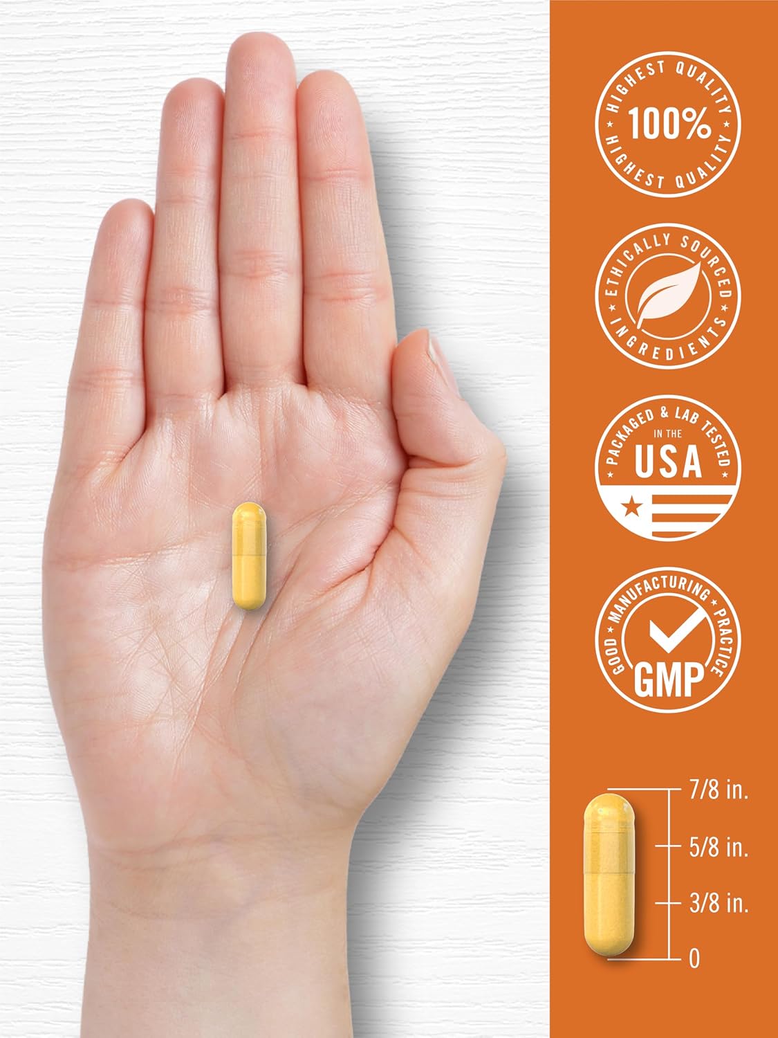 Carlyle Turmeric Curcumin with Black Pepper | 180 Capsules | Turmeric Complex Supplement | Non-GMO, Gluten Free
