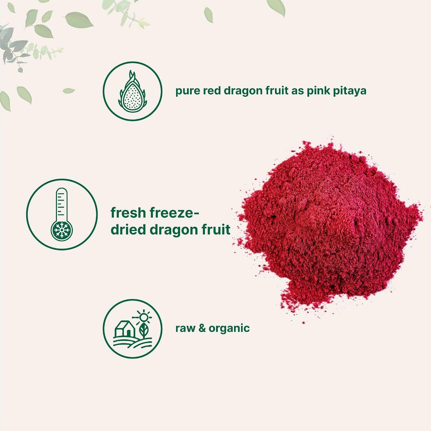Organic Dragon Fruit Powder, 10oz, 100% Natural, Freeze-Dried, Non-GMO, Vegan Friendly