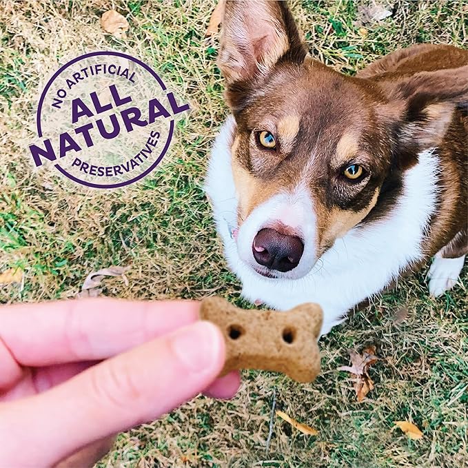 Old Mother Hubbard Wellness P-Nuttier Dog Biscuits, Natural, Training Treats, Peanut Butter Flavor, Mini Size, (6 Pound Box)