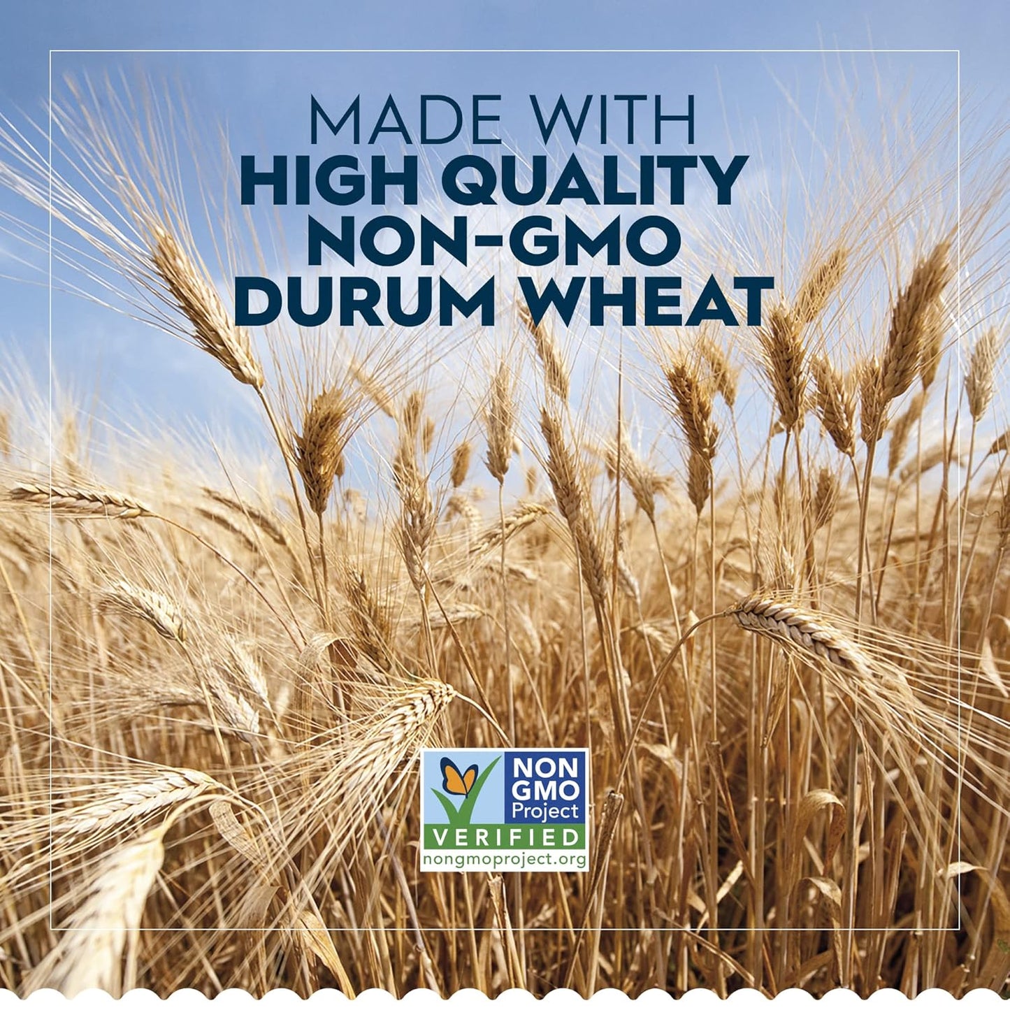 Barilla Elbows Pasta, 16 oz. Box (Pack of 8) - Non-GMO, Made with Durum Wheat Semolina - Kosher Certified