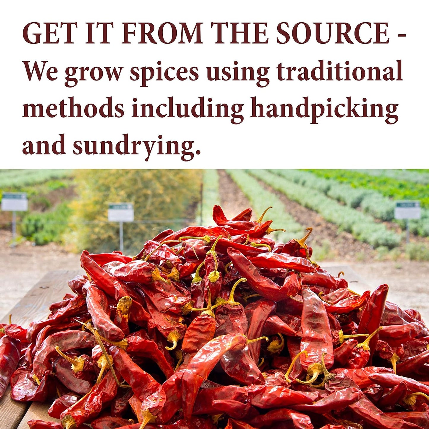 The Spice Way - Premium Crushed Aleppo Pepper Flakes 4 oz Kosher Non GMO Halaby Pepper Flakes Pul Biber Marash Chili Pepper