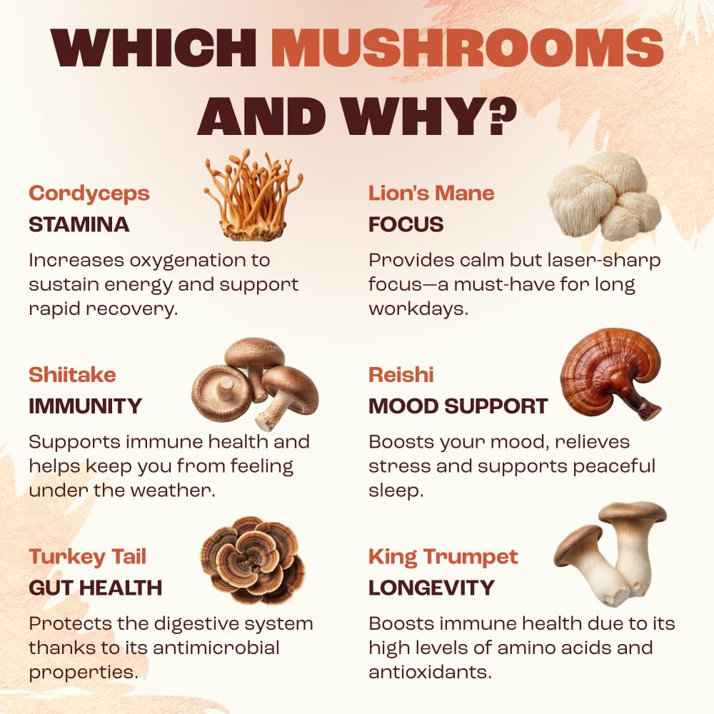 RYZE SUPERFOODS Mushroom Medium Roast Coffee USDA Organic with 6 Adaptogenic Mushrooms, USA Grown Instant Coffee for Better Energy, Focus Digestion Immunity with Lions Mane & Turkey Tail 30 Servings