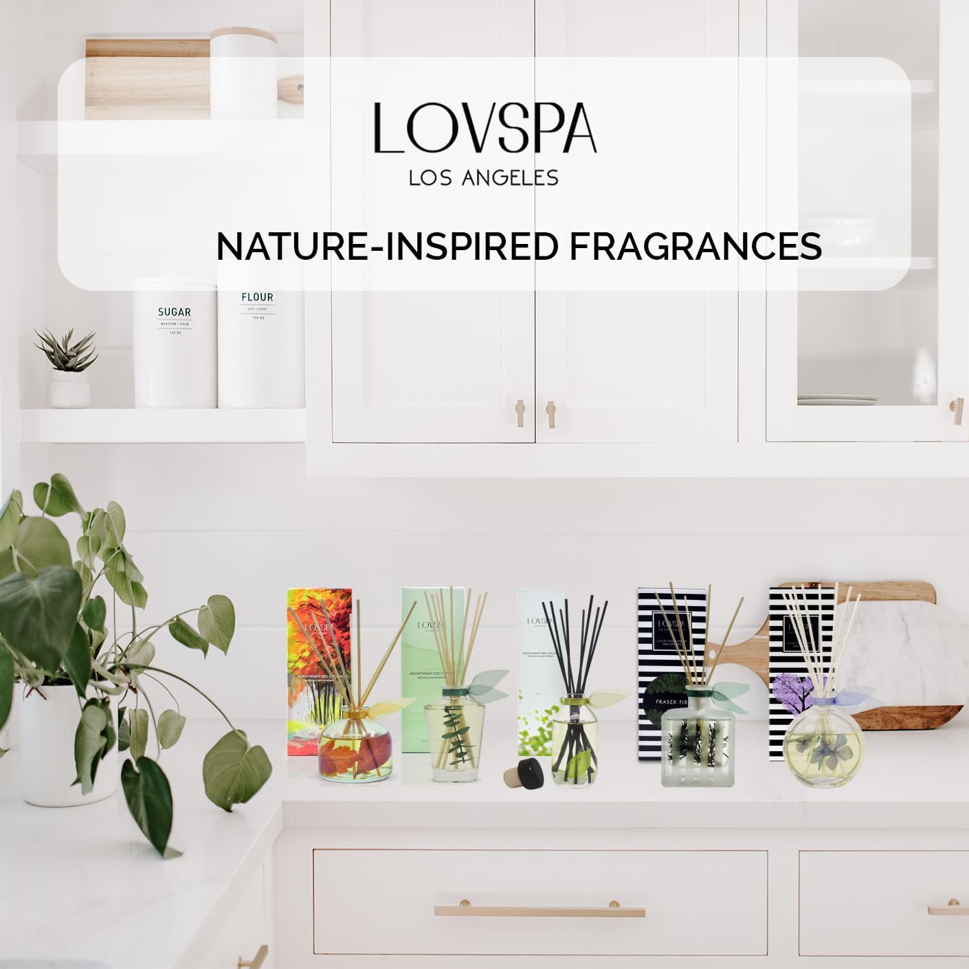 LOVSPA Eucalyptus Reed Diffuser Set for Home, Revive Fresh Eucalyptus, Sage, Citrus & Mint Scent Diffuser with Sticks for Bathroom Shelf Decor Accessories, Top Aromatherapy Gift for Women