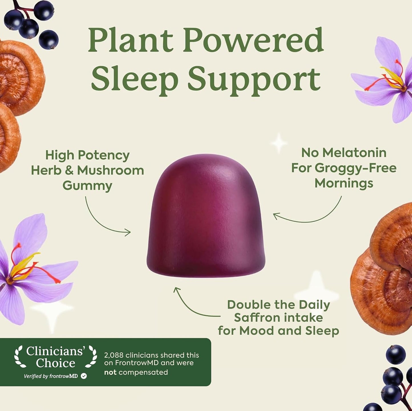 Plant People WonderSleep Mushroom Gummies Supplement for Sleep, No Melatonin Sleep Gummies with Reishi Mushroom, Saffron & Chamomile, Wild Elderberry Flavor, Sugar-Free (60 Count)