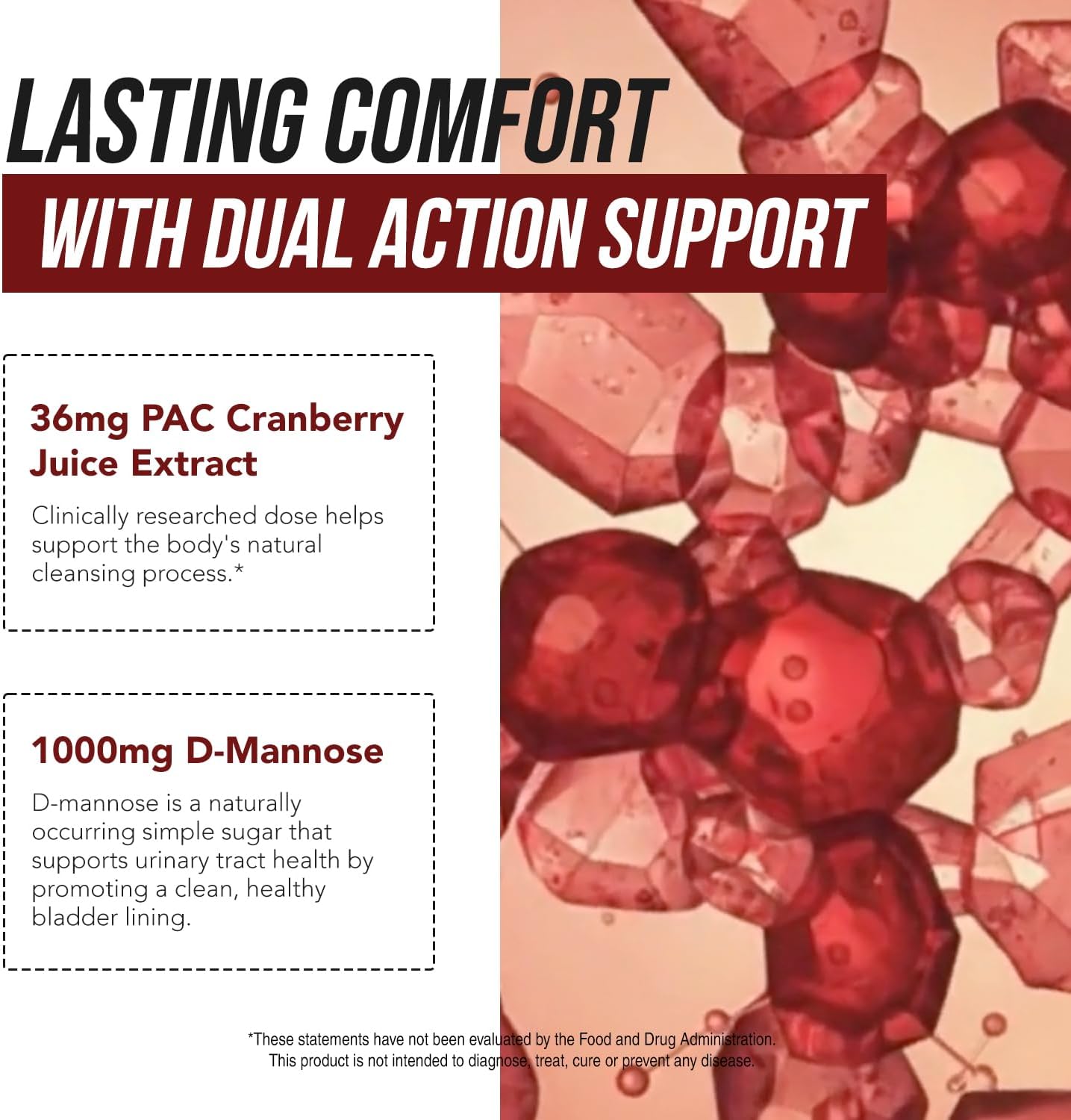CranEaze®: Cranberry Juice Extract Plus D-Mannose – 36 mg PAC, 100% Soluble PAC - Supports Urinary Tract Health – Most Effective Cranberry Pills for Women, UTI Cranberry Supplement - 60 Capsules