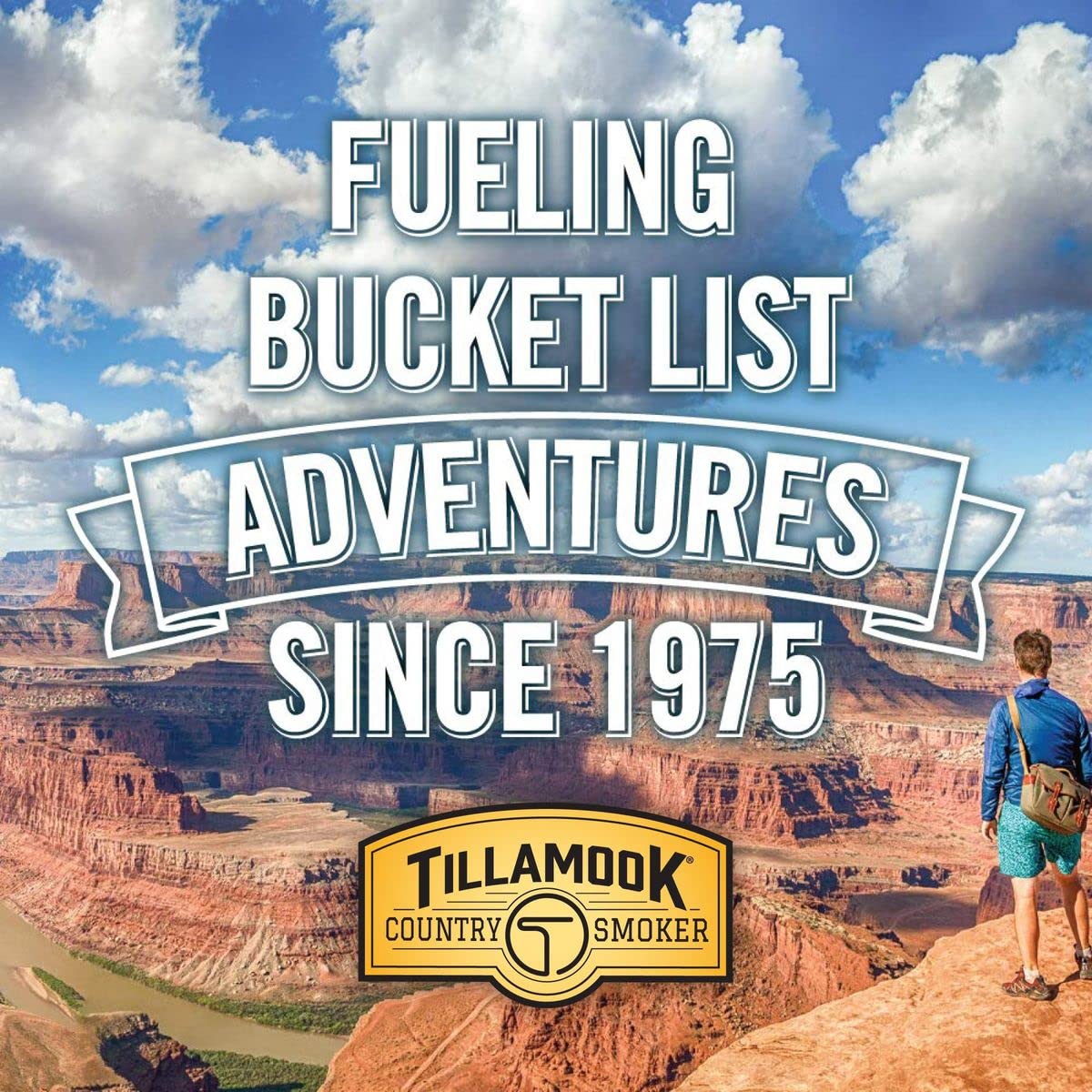 Tillamook Country Smoker Real Hardwood Smoked Beef Jerky Product Details