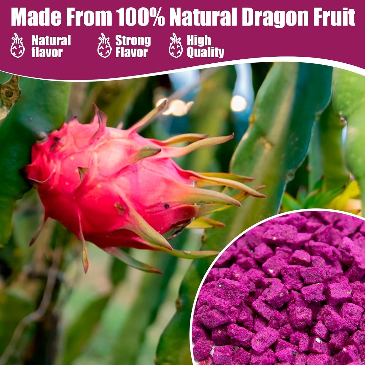Freeze Dried Dragon Fruit Pieces, 7oz, 100% Natural, Gluten-Free, Vegan