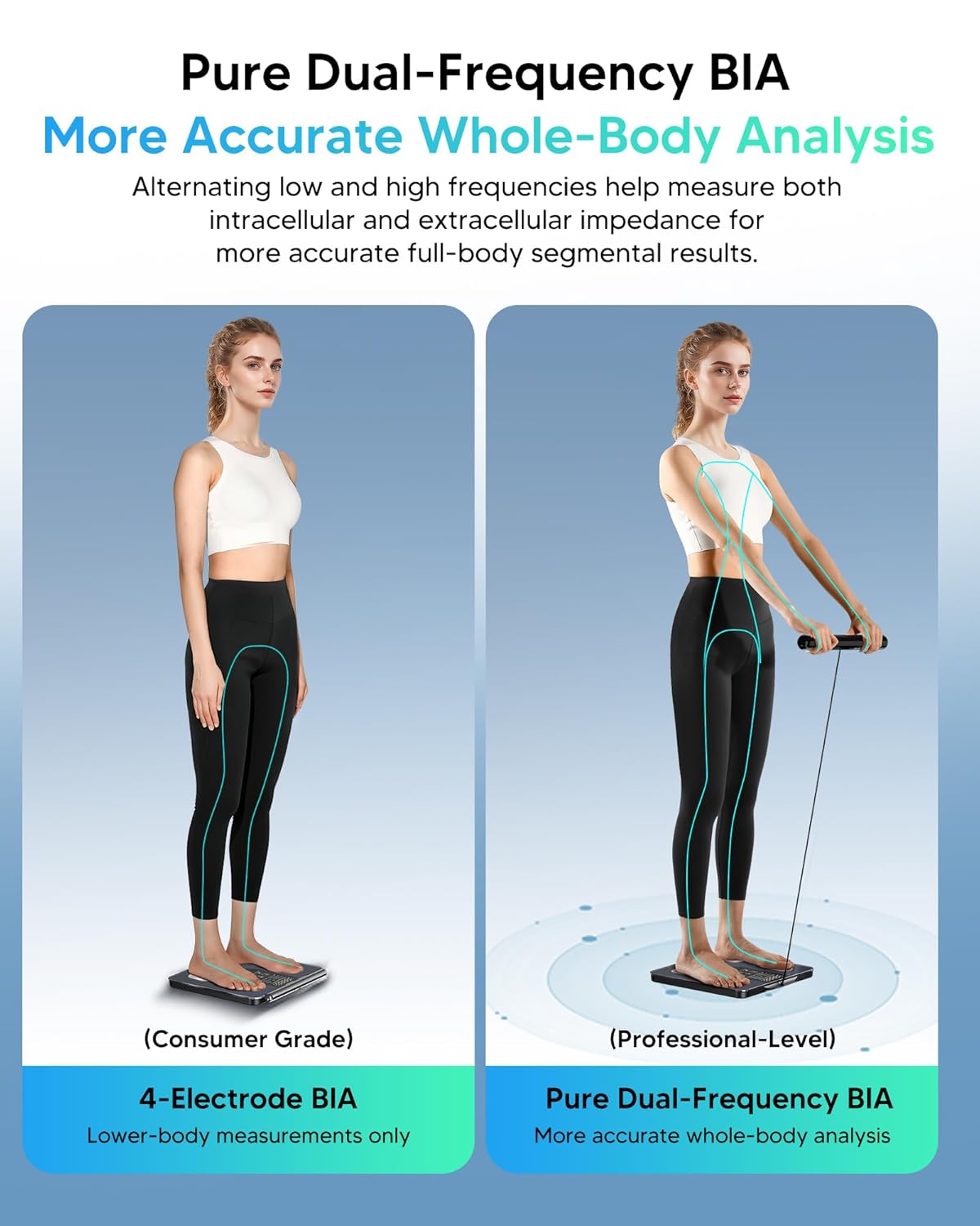 Arboleaf Smart Scale for Body Weight and Composition Analysis