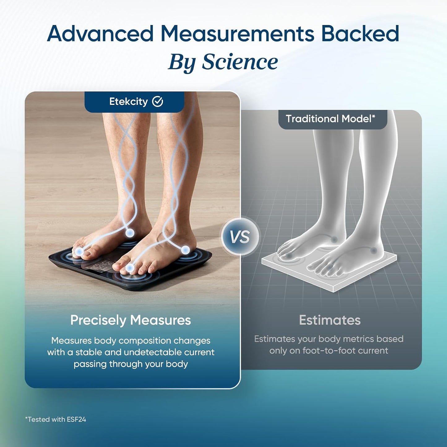 Etekcity Smart Scale with BMI, Body Fat, and 13 Metrics