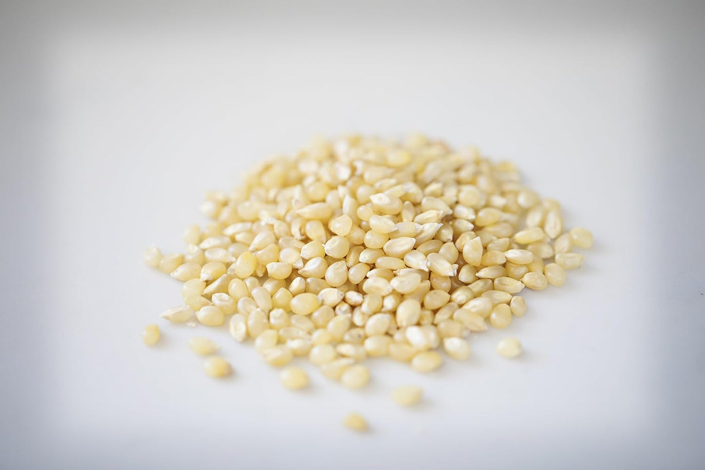 Baby White Popcorn Kernels - 6 lb Bag - Non-GMO and Gluten Free