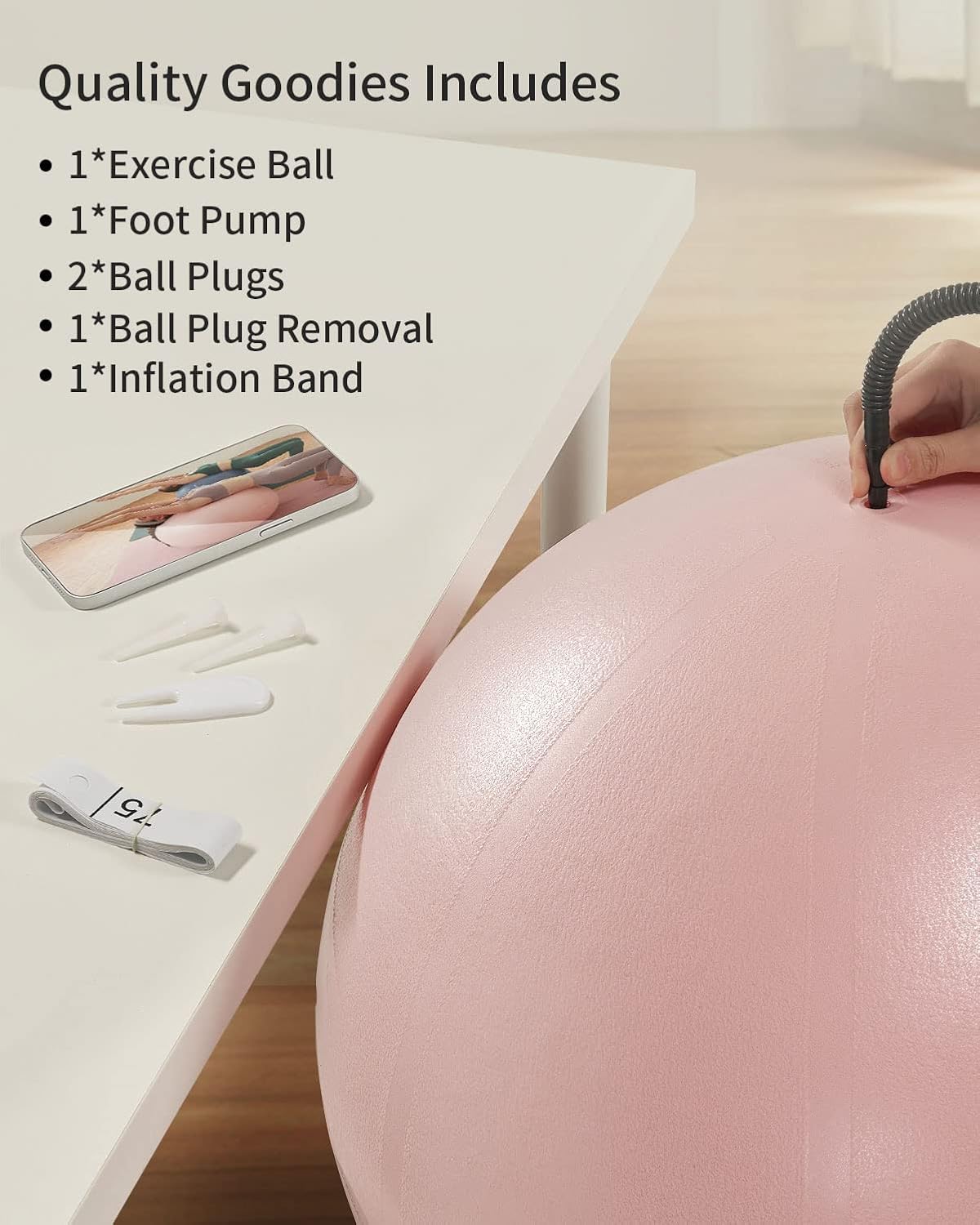 YOTTOY Anti-Burst Exercise Ball, 2000lb Capacity, Thick Workout Ball