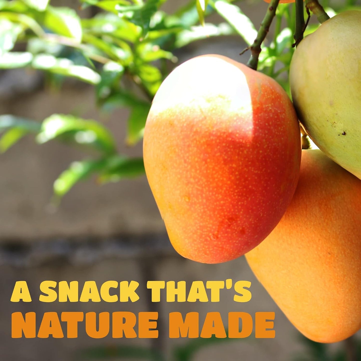 Dried Mango Slices - Soft & Juicy Low Sugar Added Dried Mango