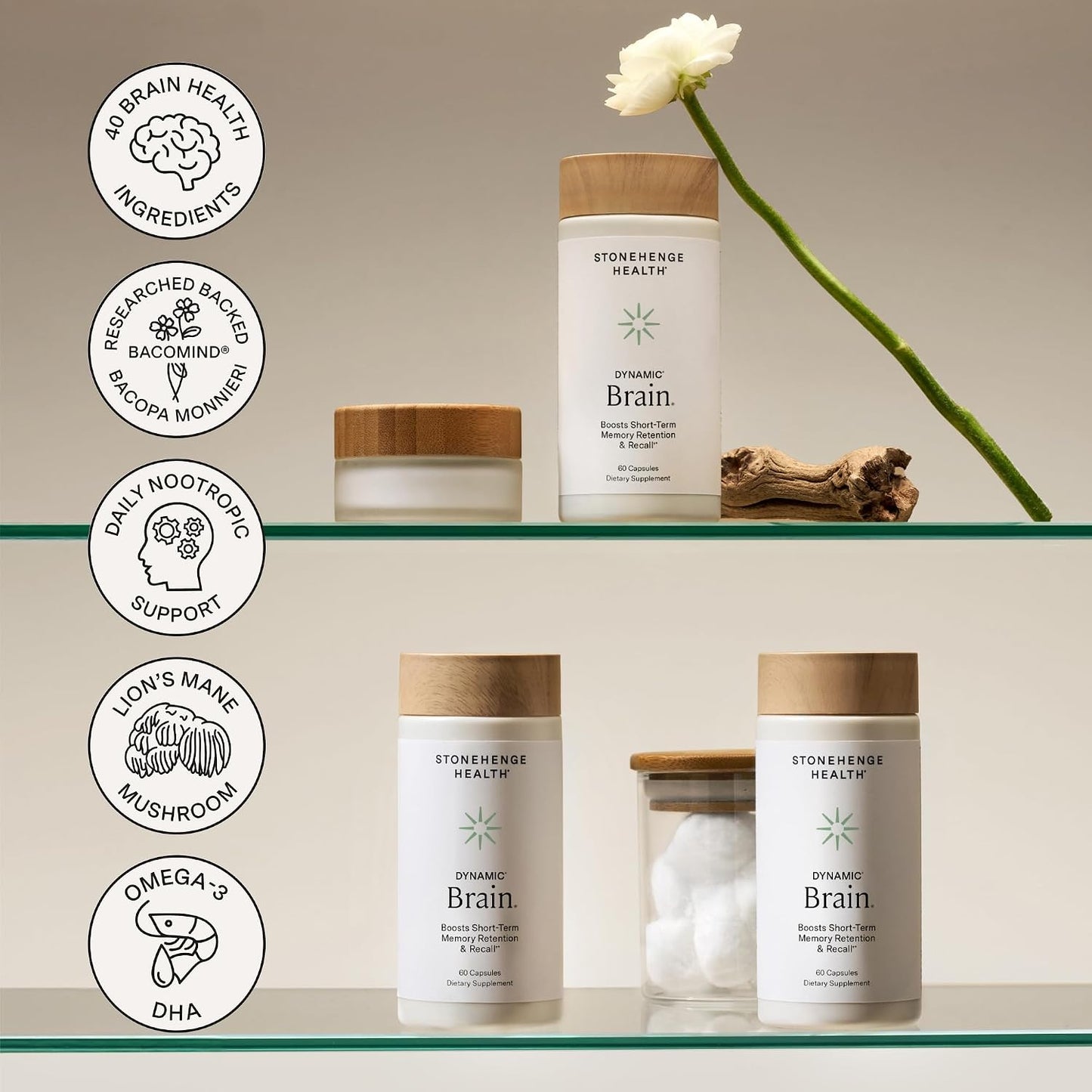 Stonehenge Health Dynamic Brain Bacopa Nootropic Formula with Phosphatidylserine and DHA