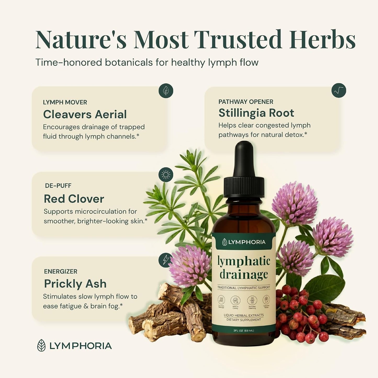 Lymphatic Drainage Drops for Bloat Relief & De-Puff – Cleavers, Red Clover, Stillingia Root & Prickly Ash Bark – Lymph Node Detox Cleanse, Fluid Retention – Alcohol-Free, Vegan, 2 Fl Oz