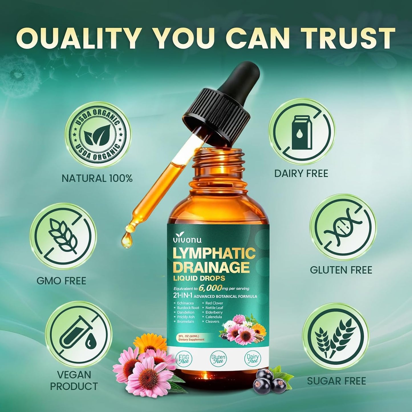 21-in-1 Lymphatic Drainage Drops for Immune System Support with Echinacea and Turmeric 2 FL OZ