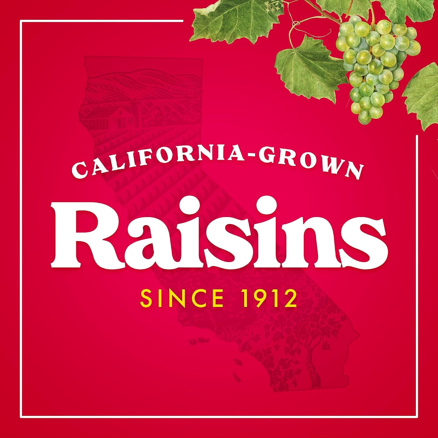 Sun-Maid 13 oz Resealable California Sun-Dried Raisins for Healthy Snacks and School Lunches, Non-GMO and No Added Sugar