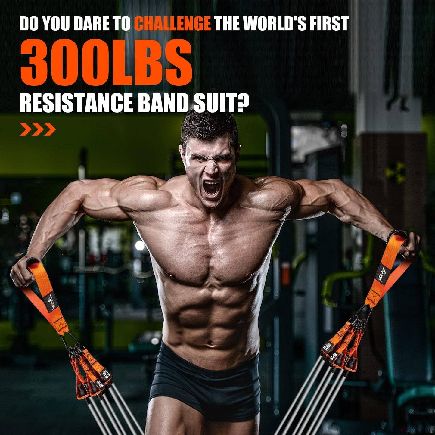 HPYGN Heavy Resistance Bands 300LBS Exercise Bands Set