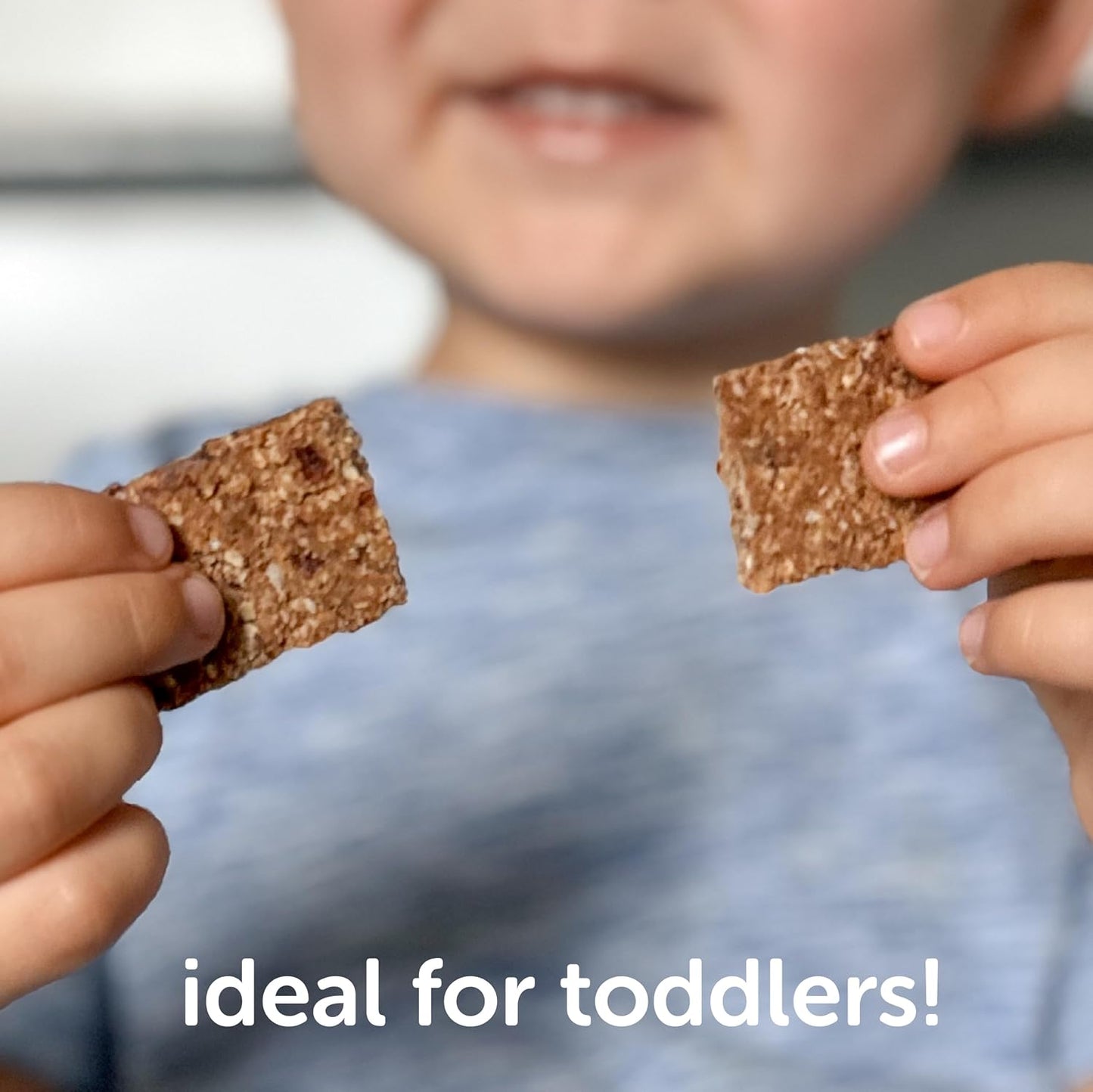 Beech-Nut Toddler Snacks Oaty Bars Granola Bars for Babies Toddlers