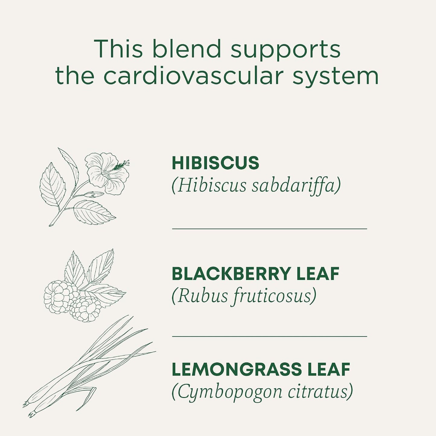 Organic Hibiscus Tea - 16 Tea Bags - Kosher, Non-GMO, Caffeine-Free, Compostable