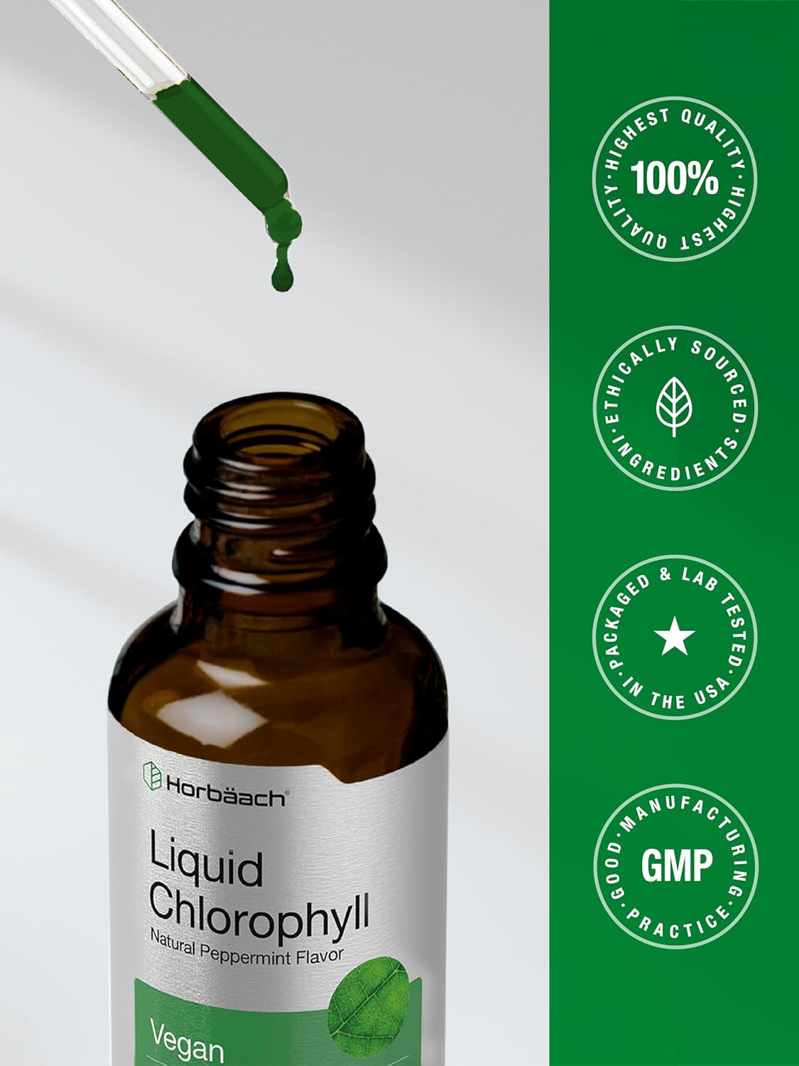 Horbäach Liquid Chlorophyll Drops | 2 fl oz | Natural Peppermint Flavor | Vegan, Non-GMO & Gluten Free Formula